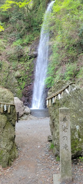 養老公園